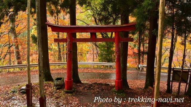 武尊山 武尊神社 鳥居 紅葉