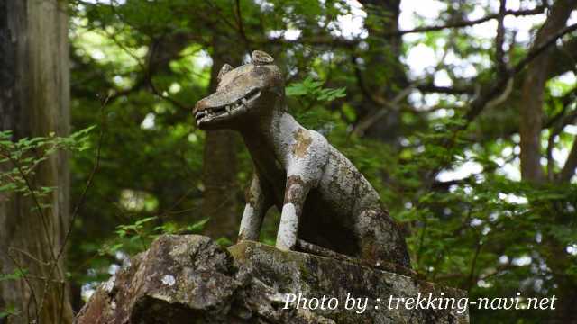 両神山 両神神社 オオカミ 狼