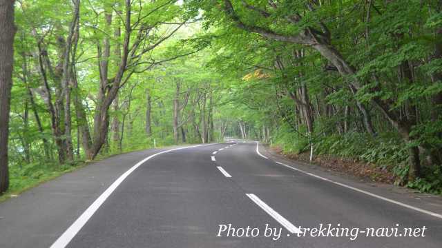 奥入瀬渓流 国道120号