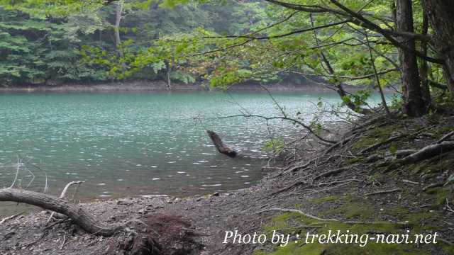 十二湖 鶏頭場の池