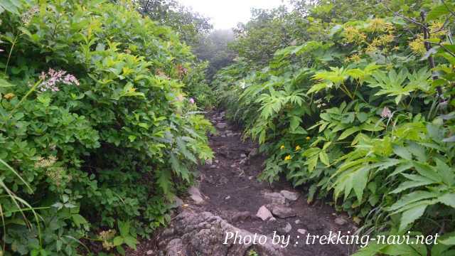 岩手山 登山