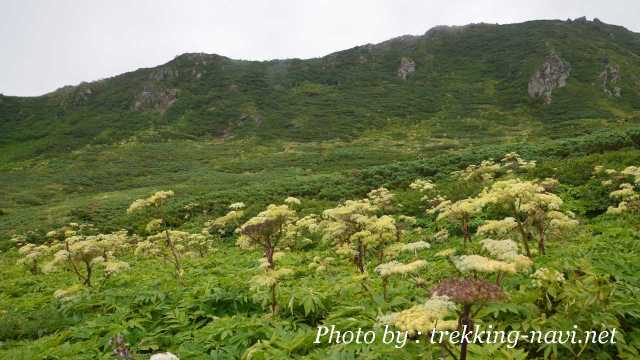 岩手山 登山