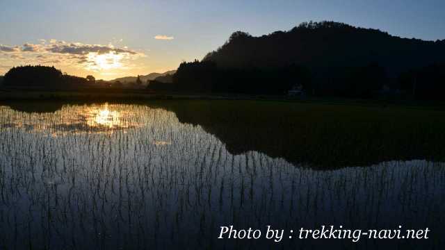 日光 水田 夕焼け