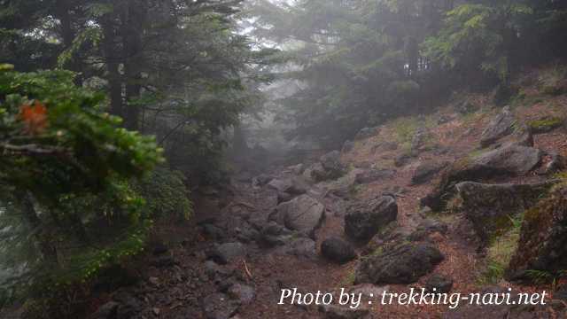 男体山 登山 雨