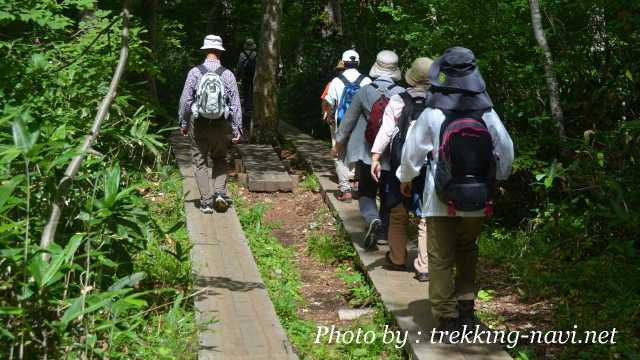 尾瀬ヶ原 鳩待峠 登山道 木道 ハイキング