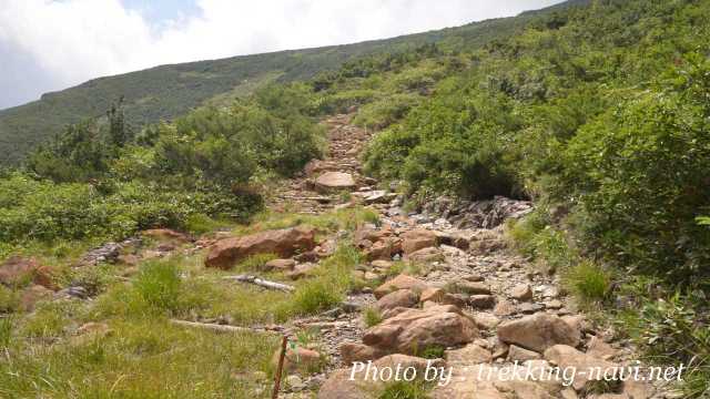 鳩待峠 山の鼻 登山道