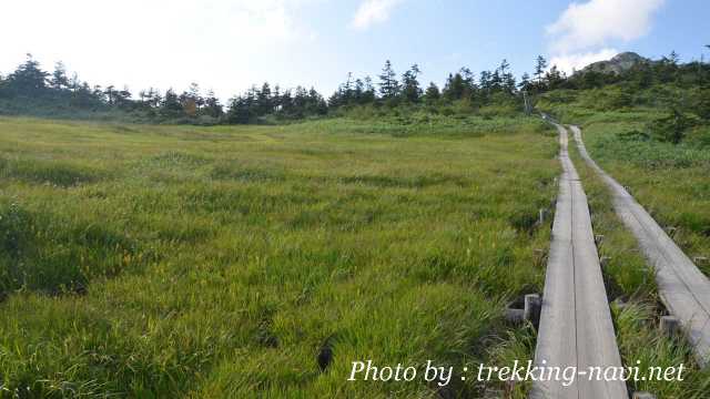 木道 登山道 トレッキング