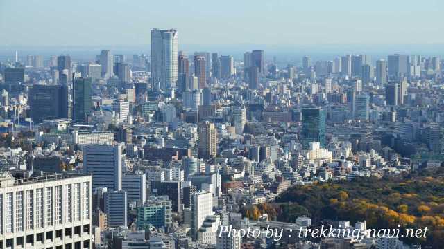 都庁 展望室 都内