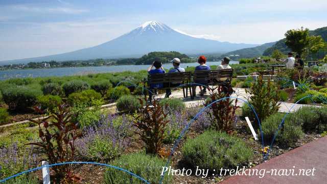 富士山