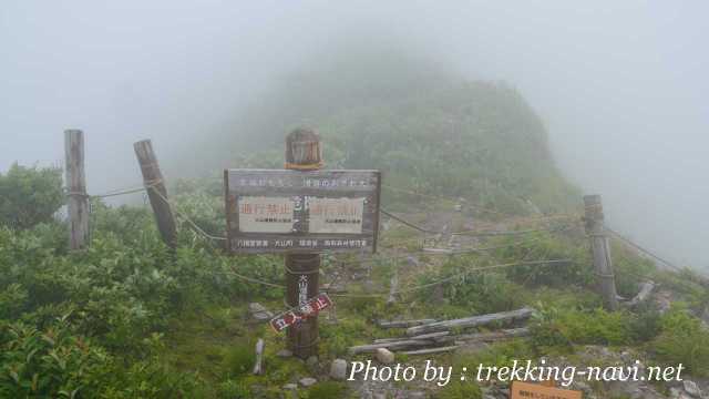 大山 登山 木道