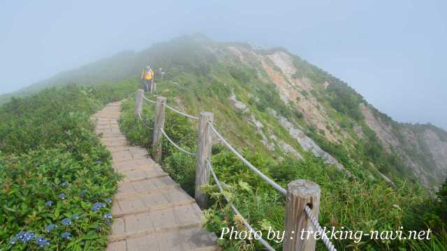 大山 登山道 トレッキング