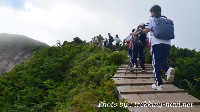 大山 登山道 トレッキング