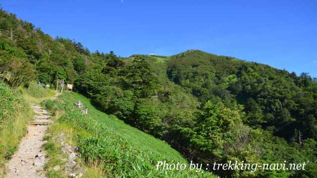 剣山 大剣神社 登山道