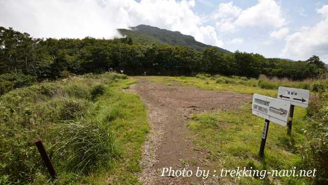 祖母山 雑木林 登山