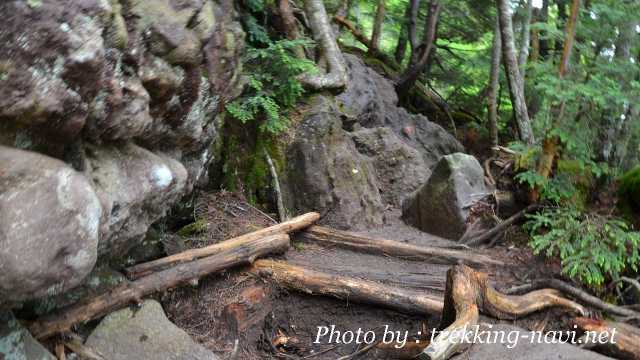 登山道 雨