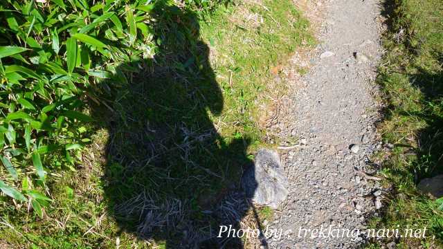 登山 トレッキング 男性