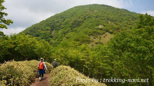 登山 登山道