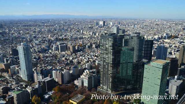 都庁 東京 関東平野